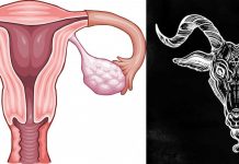 Smieklīgas bildes par menstruācijām