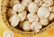 Welke champignons kunnen worden ingevroren en welke het niet waard zijn